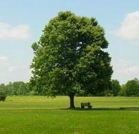 大嶺山環保工程/大嶺山環保工程公司